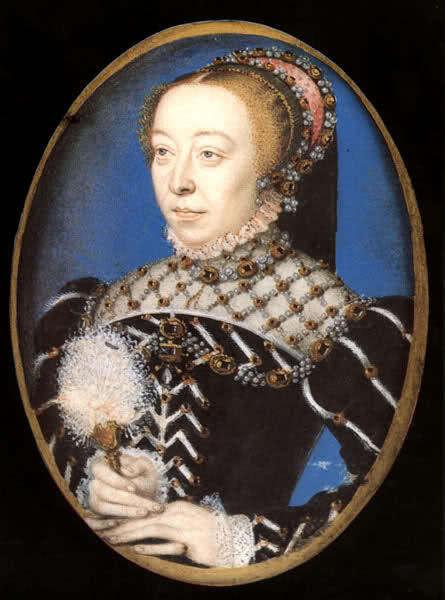 Caterina de' Medici, casata medici firenze 